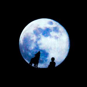 月亮与守夜人