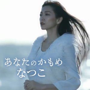 あなたのかもめ