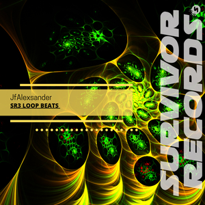 SR3 LOOP BEAT 1 (Original Mix)
