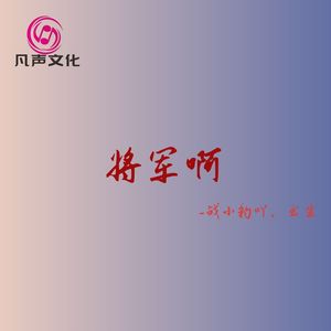 将军啊