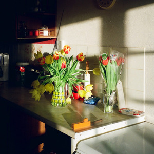 I Don't Think I Do (Demo Version)