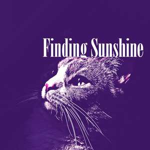 Finding Sunshine