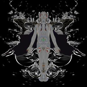 Black Butterfly Piano Collection (Reversed)