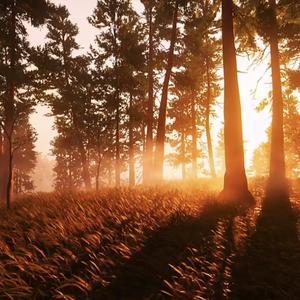 在黑暗之中歌唱海阔天空（翻自 陈婉菁）