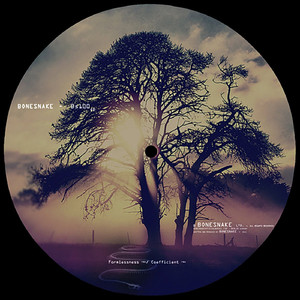 Bs100 (Coefficient Remix)