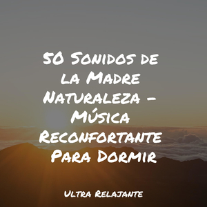 Melodías Relajantes