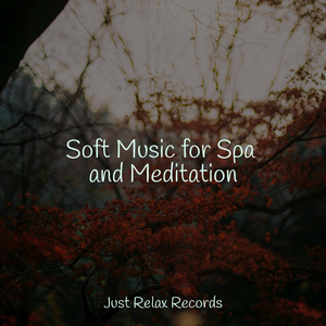 Melodic Steps of Existence
