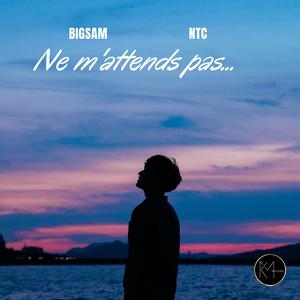 Ne m'attends pas... (feat. NTC)