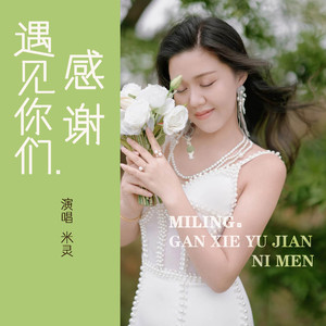 感谢遇见你们 (DJ默涵版)