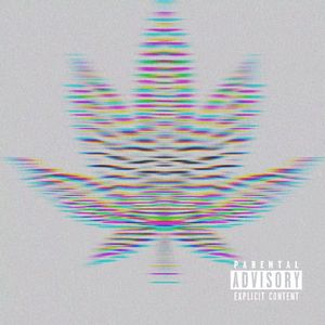 NOTDREE HardinDapaintsample