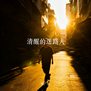清醒的迷路人