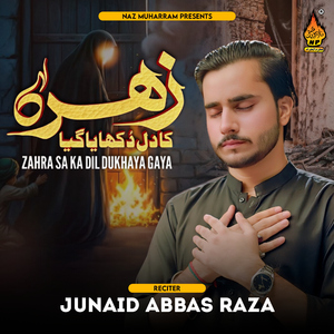 Zahra (SA) Ka Dil Dukhaya Gaya