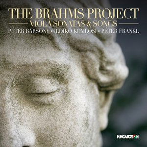 Clarinet Sonata No. 2 in E-Flat Major, Op. 120 No. 2 (Version for Viola & Piano):III. Andante con moto