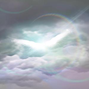 Aexhy x DJ Traytex - Glasversteck