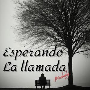 Unreleased(Esperando La llamada)