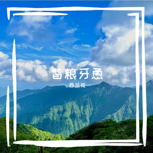 杖瓜嘲门