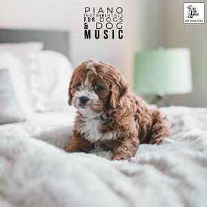 Free Calming Music For Dogs