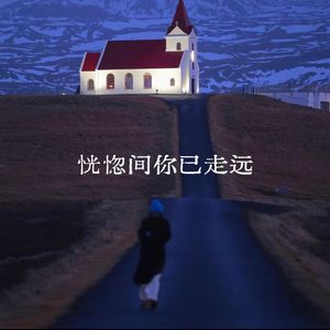 恍惚间你已走远