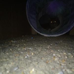 Weather Control (instrumental)