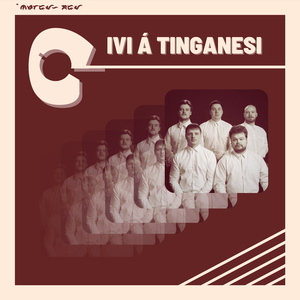 Ivi á Tinganesi