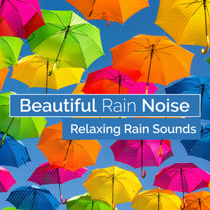 Tree Branch Raindrops