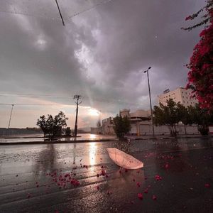 让雨替我告诉你（pro by Morrow）