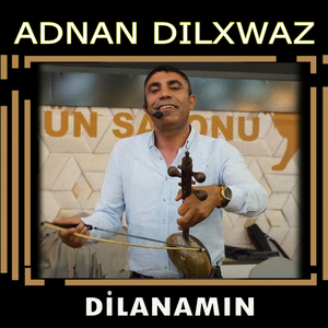Dilanamın