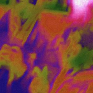 FACE (feat. ben ira)