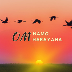 Om Namo Narayana