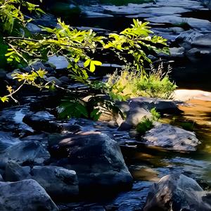 有形的翅膀 伴奏