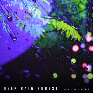 Record Breaking Downpour