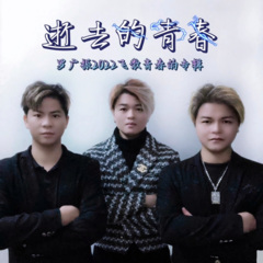 逝去的青春
