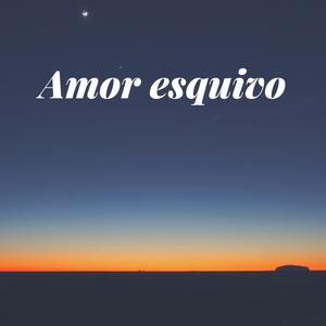 Amor esquivo