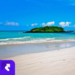 往日时光 (现场)