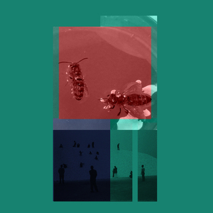 YvngcAt 2018 Beat MXCP Free