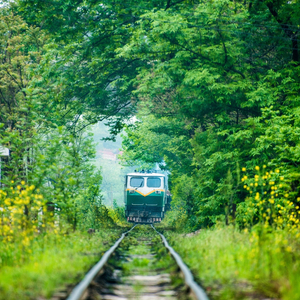 开往秋天的火车