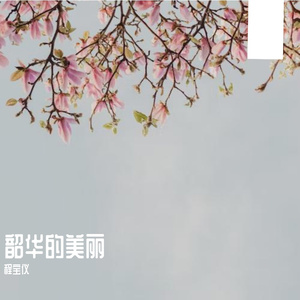 韶华的美丽(Prod EVOMUSIC )