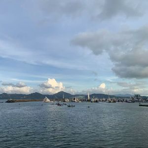 一树繁花绕枝头