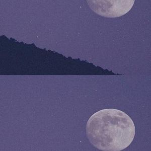 沉醉的玫瑰