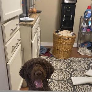 Want Me to Look Good, This Is What I Do