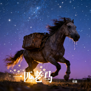 一匹老马