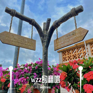 忘与记_wzz