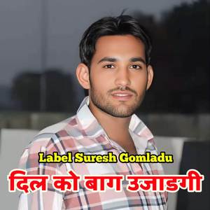 दिल को बाग उजाडगी