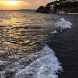 你是我的解药(单曲循环版)