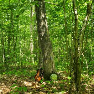 The End of the Tunnel