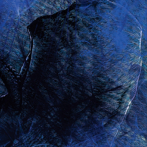 Bairro Sujo (feat. Junix & Heitor Dantas)