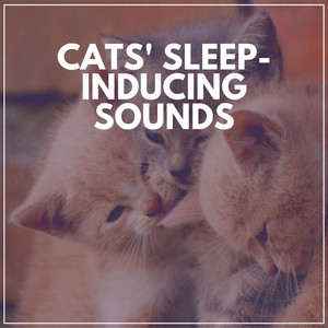 Cats' Lenitive Sound