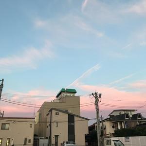 油腻情歌