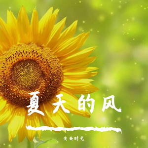夏天的风【清新抖音版】（翻自 温岚）