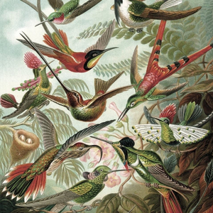 Let's Build a Sandcastle